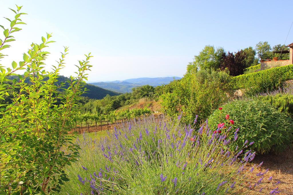 Apartamento Sandra House Castellina in Chianti Exterior foto